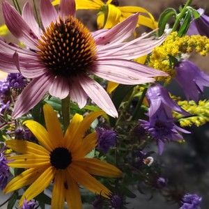 Meet your Posher, Lena